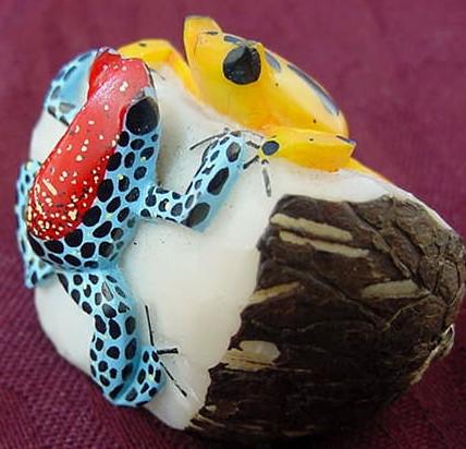 Wounaan Indian Duel Poison Dart Frog Tagua Nut Carving-Panama 21021930L