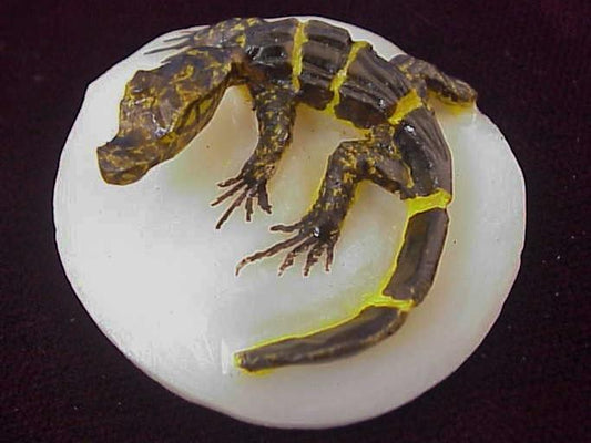 Wounaan Alligator Tagua Nut Pendant Carving-Panama 21021941L