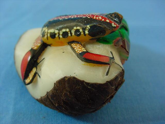 Wounaan Poison Dart Frog Tagua Nut Carving on Leaf-Panama 21031115L