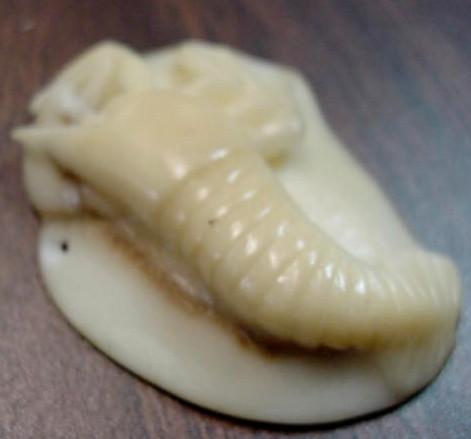 Wounaan Tagua Nut Shrimp Pendant Carving-Panama 21031105L