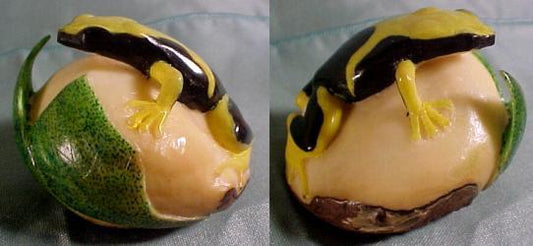 Exquisite Wounaan Indian Tagua Nut Frog Carving-Panama 21062201L