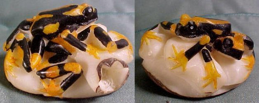 Wounaan Indian Double Black & Gold Tagua Nut Frog Carving Panama 21061933L