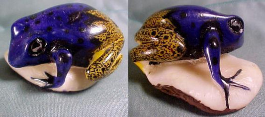 Wounaan Indian Blue & Gold Tagua Nut Frog Carving-Panama 21061934L