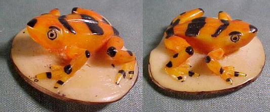 Wounaan Indian Golden Frog Tagua Nut Pendant Carving-Panama 21062106L