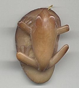Wounaan Indian Natural Dye Tagua Nut Frog Pendant-Panama 21062513L