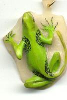 Wounaan Indian Carved Gecko Lizard Tagua Nut Pendant-Panama 21062502L