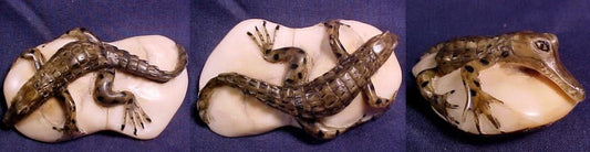 Vintage Wounaan Indian Alligator Tagua Nut Carving-Panama 20121627L