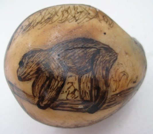 Wounaan Indian Tagua Nut Grabado Etching Sloth Carving - Panama 21022125L