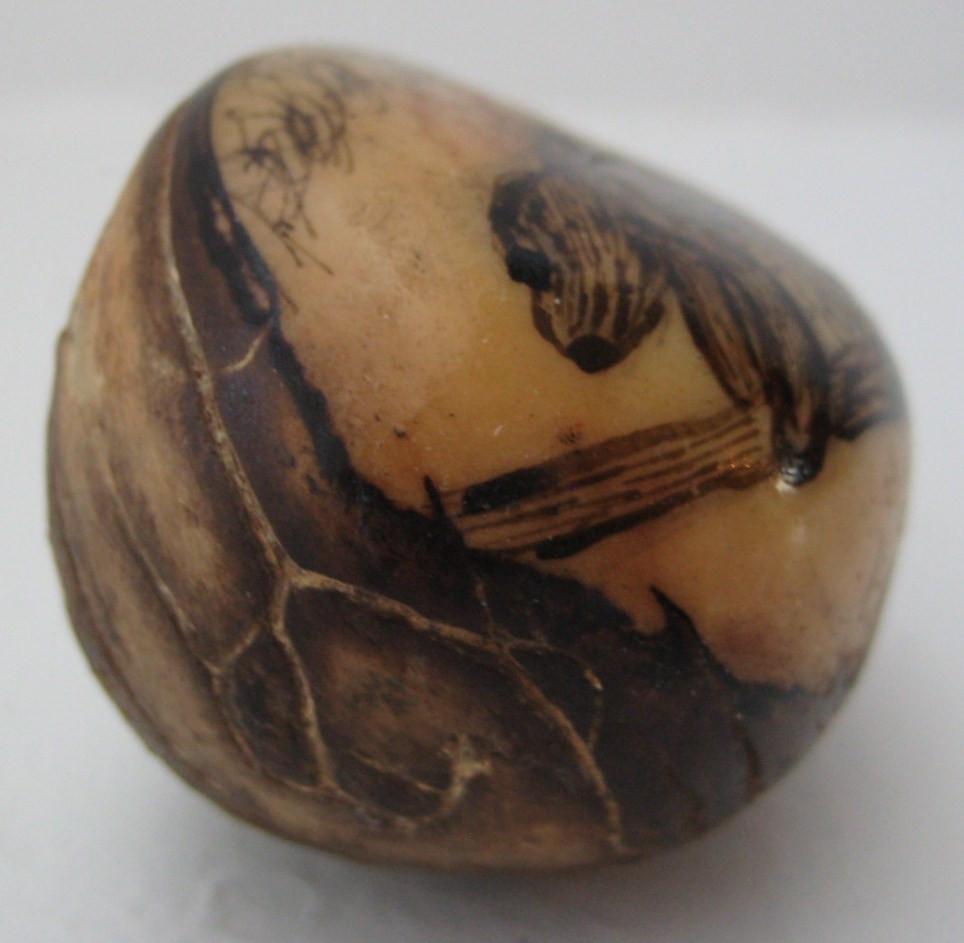 Wounaan Indian Tagua Nut Grabado Etching Sloth Carving - Panama 21022125L