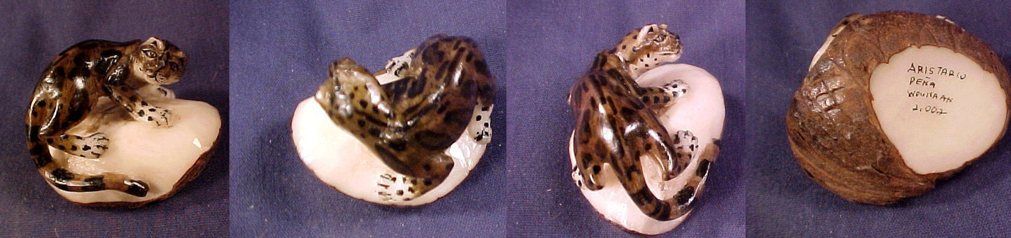 Wounaan Indian  Jaguar Tagua Nut Carving-Panama 20121326L