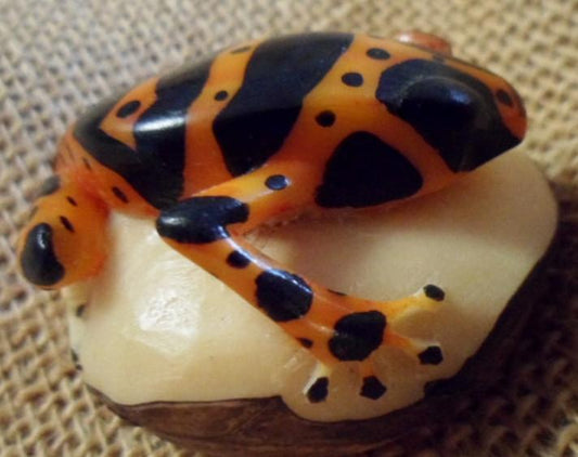 Wounaan Embera Poison Dart Frog Tagua Carving-Panama 16021105L