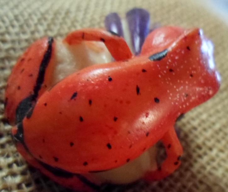 Wounaan Embera Blowthroat Poison Dart Frog Tagua Carving-Panama 16021115L