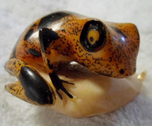 Wounaan Embera Poison Dart Frog Tagua Pendant Carving-Panama 16021203L
