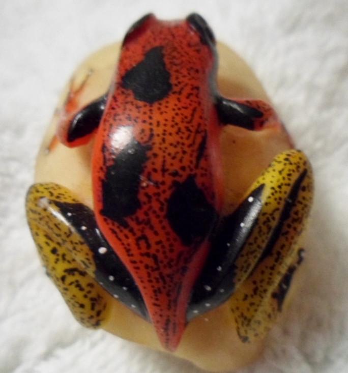 Wounaan Embera Poison Dart Frog Tagua Carving-Panama 16021502L
