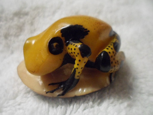 Embera Poison Dart Frog Tagua Carving-Panama 16021504L