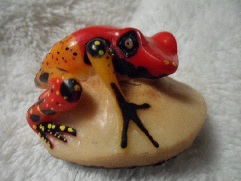 Wounaan Embera Poison Dart Frog Tagua Carving-Panama 16021505L