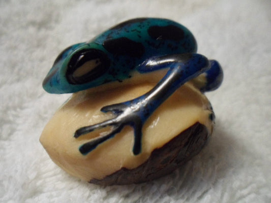 Wounaan Embera Poison Dart Frog Tagua Carving-Panama 16021506L