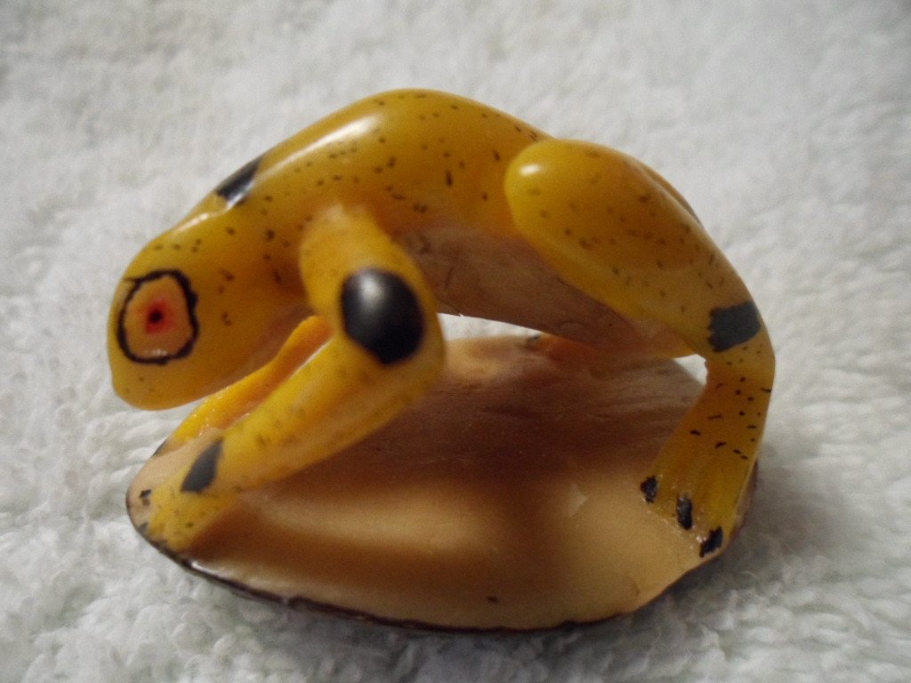 Wounaan Embera Poison Dart Frog Tagua Carving-Panama 16021508L
