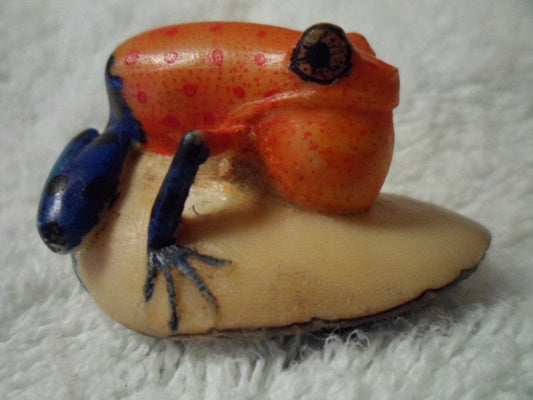 Wounaan Embera Blowthroat Poison Dart Frog Tagua Carving-Panama 16021513L