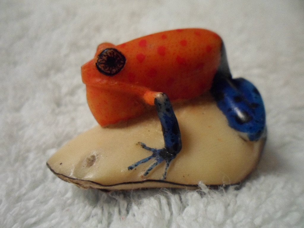 Wounaan Embera Blowthroat Poison Dart Frog Tagua Carving-Panama 16021513L