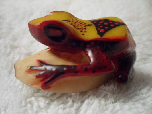Wounaan Embera Poison Dart Frog Tagua Carving-Panama 16021516L