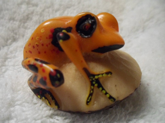 Wounaan Embera Poison Dart Frog Tagua Carving-Panama 16021517L