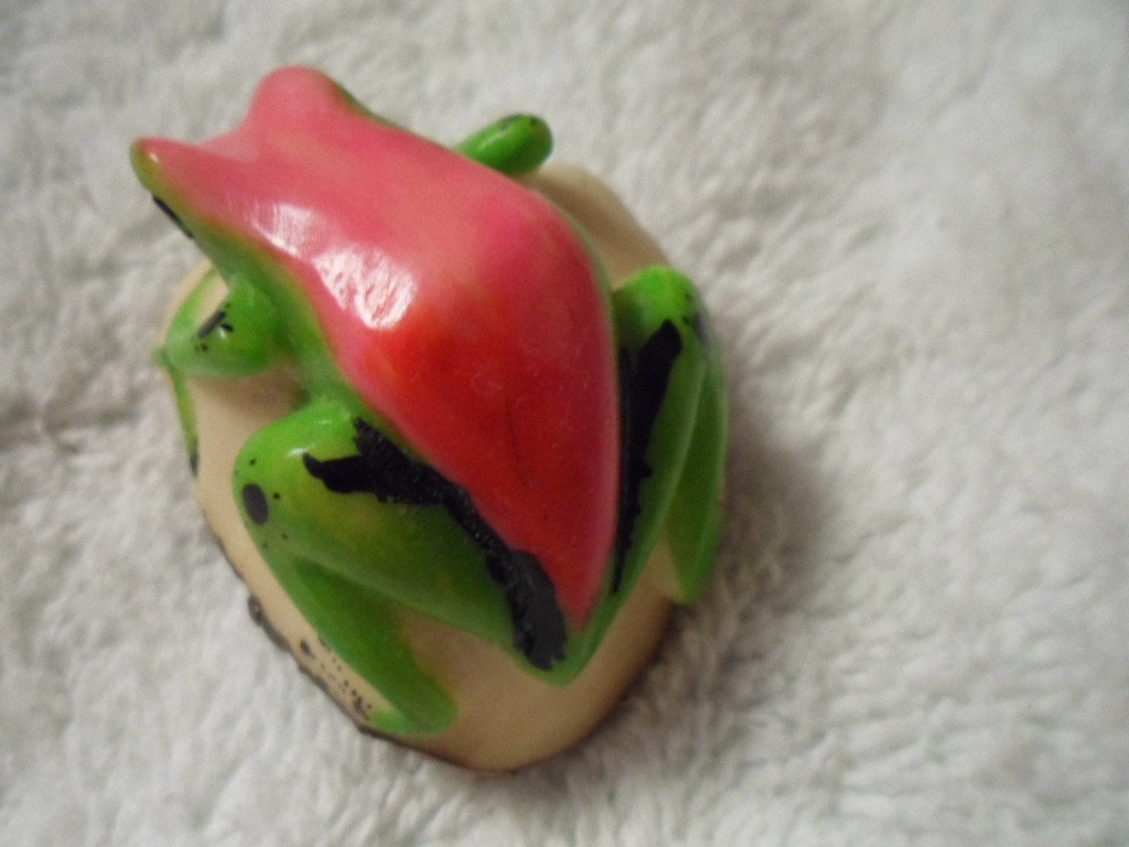 Wounaan Embera Poison Dart Frog Tagua Carving-Panama 16021519L