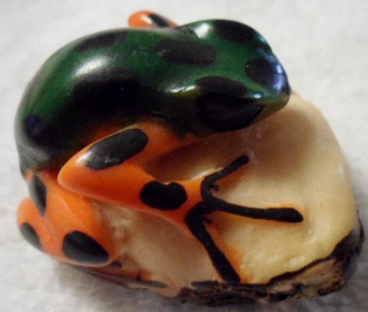 Wounaan Embera Poison Dart Frog Tagua Carving-Panama 16022705L