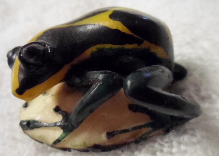 Wounaan Embera Poison Dart Frog Tagua Carving-Panama 16022714L