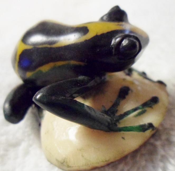 Wounaan Embera Poison Dart Frog Tagua Carving-Panama 16022714L