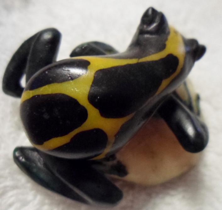 Wounaan Embera Poison Dart Frog Tagua Carving-Panama 16022714L