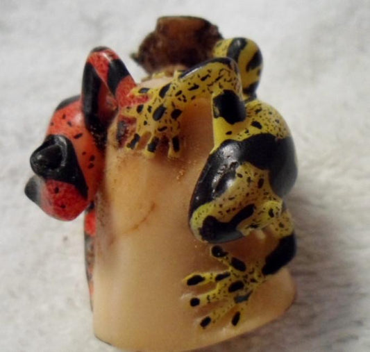 Wounaan Embera 2 Poison Dart Frog Tagua Carving-Panama 16022913L