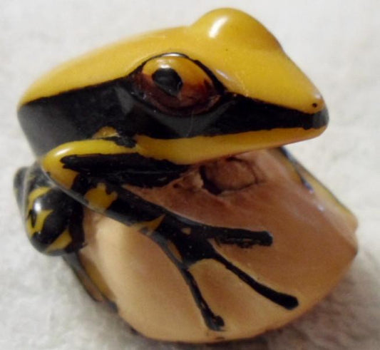 Wounaan Embera Poison Dart Frog Tagua Carving-Panama 16030104L