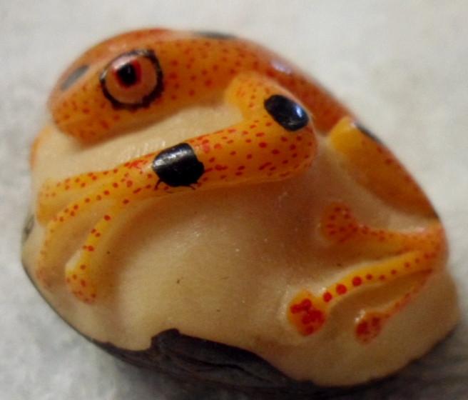 Wounaan Embera Poison Dart Frog Tagua Carving-Panama 16030105L