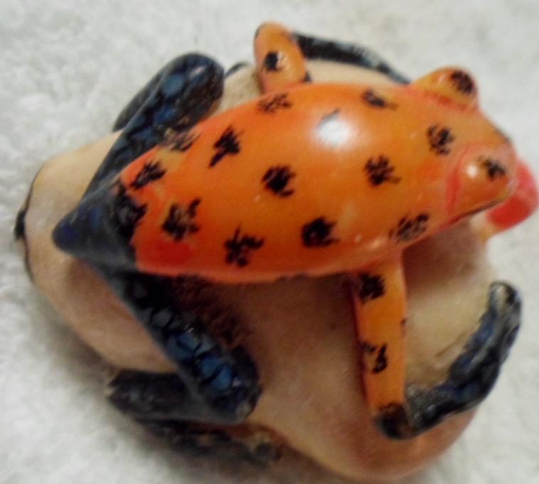 Wounaan Embera Poison Dart Frog Tagua Carving-Panama 16030112L