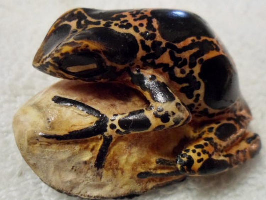 Wounaan Embera Poison Dart Frog Tagua Carving-Panama 16030114L