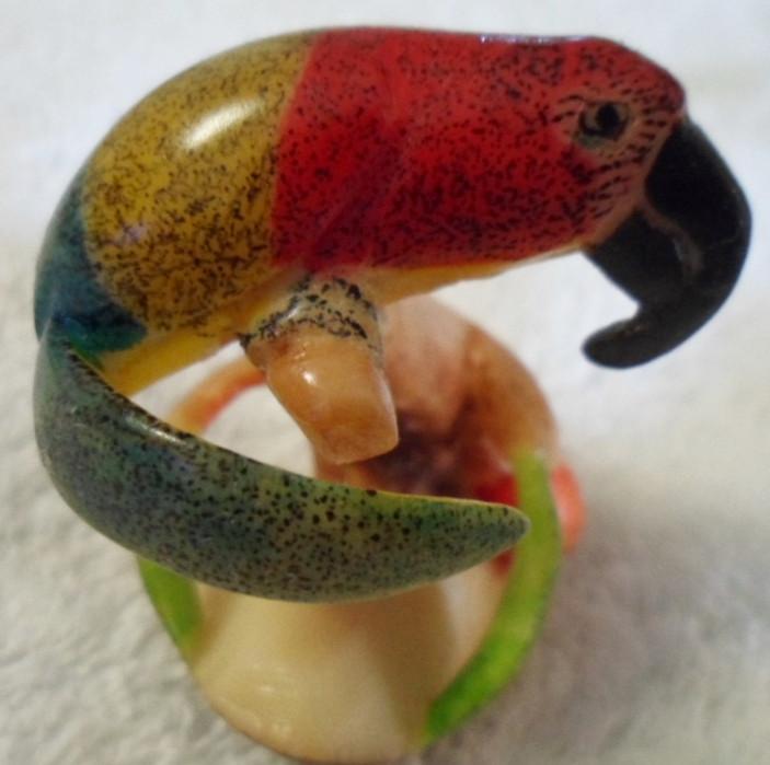 Wounaan Embera Macaw Parrot Tagua Carving-Panama 16031540L