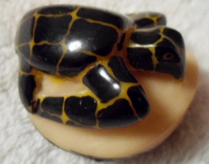 Wounaan Embera Sea Turtle Tagua Carving-Panama 16033103L