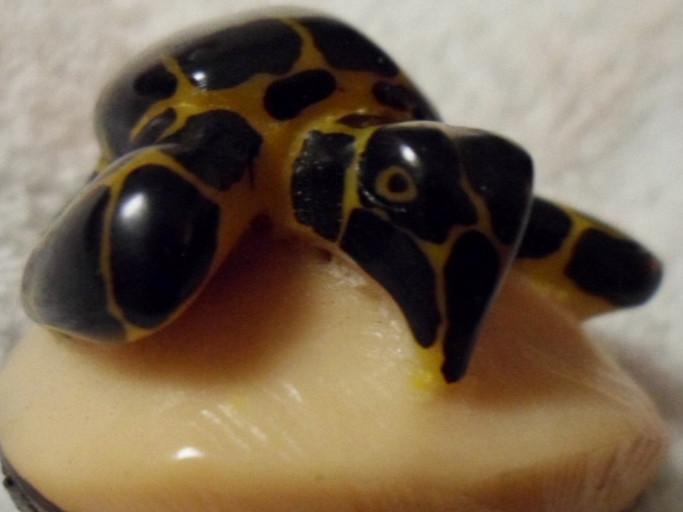 Wounaan Embera Sea Turtle Tagua Carving-Panama 16033103L