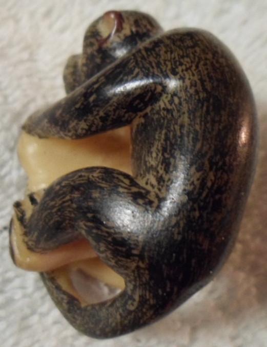 Wounaan Embera Monkey Tagua Carving-Panama 16033115L