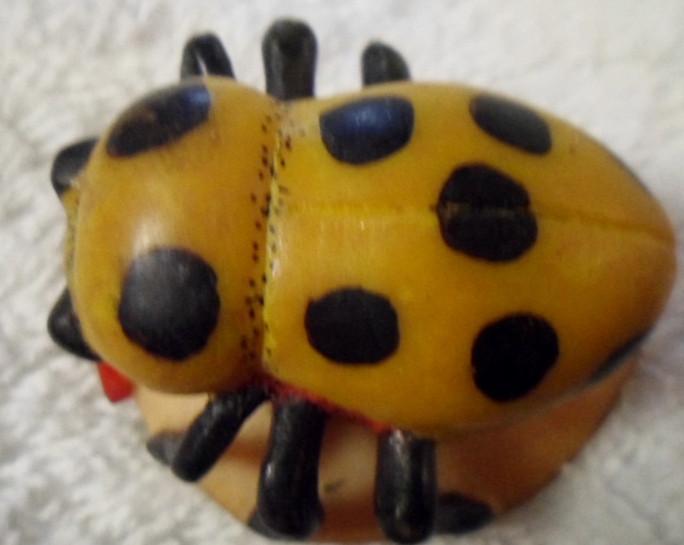 Wounaan Embera Insect Bug Tagua Carving-Panama 16040724L