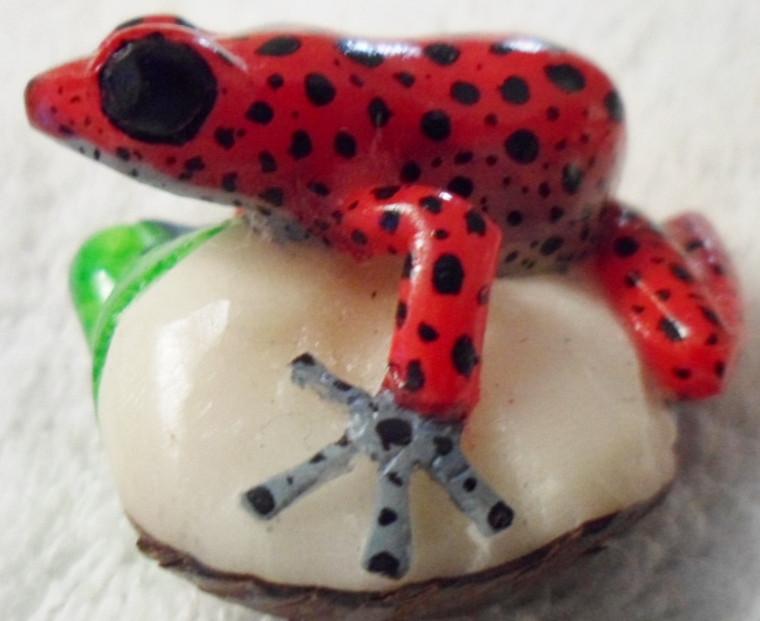 Wounaan Embera Tagua Poison Dart Frog Carving-Panama 16041417L