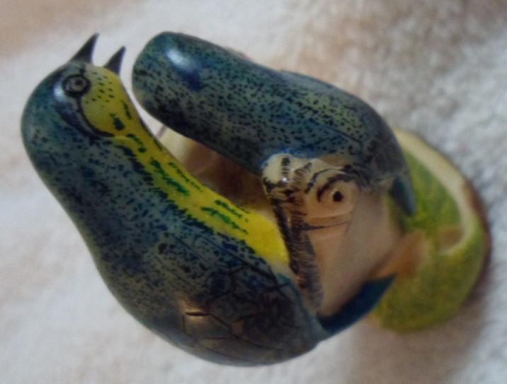 Wounaan Embera 2 Nut Blue Bird Tagua Carving-Panama 16070509L