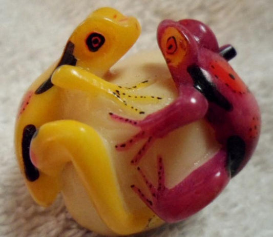 Wounaan Embera 2 Poison Dart frog Tagua Carving-Panama 16080509M