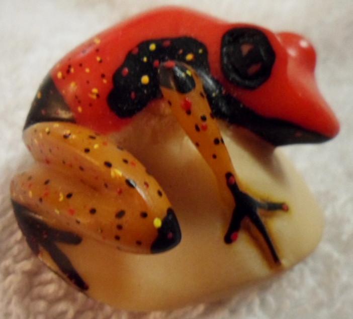 Wounaan Embera Poison Dart frog Tagua Carving-Panama 16080903M