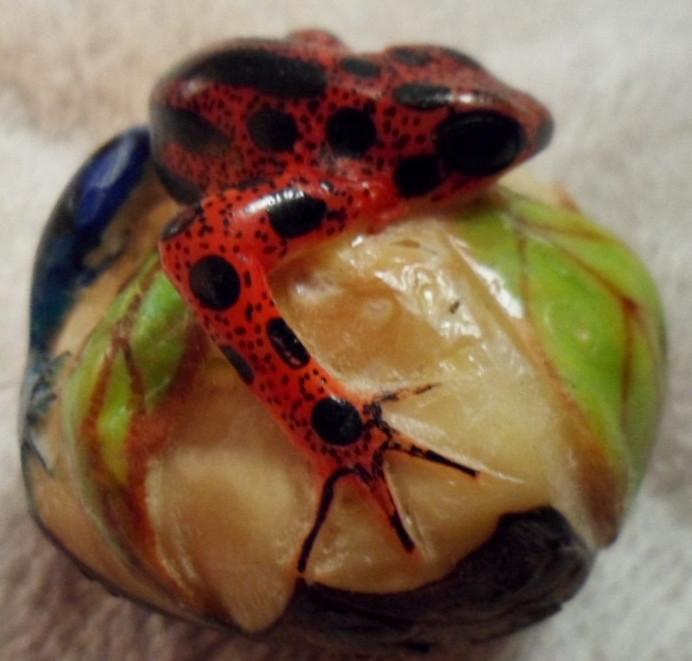 Wounaan Embera Poison Dart frog Tagua Carving-Panama 16081012M