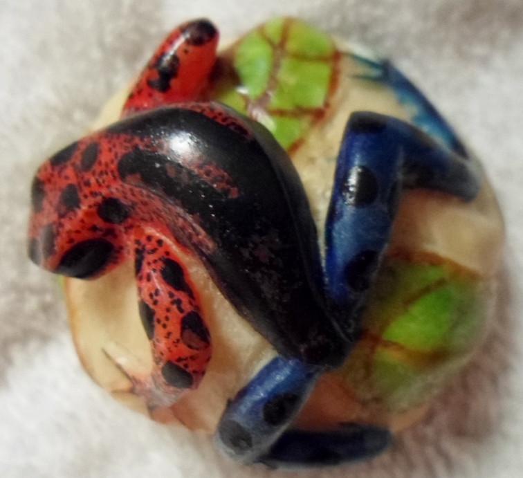 Wounaan Embera Poison Dart frog Tagua Carving-Panama 16081012M