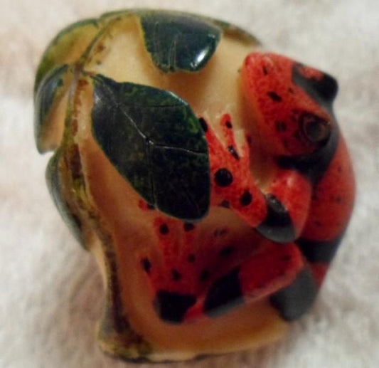 Wounaan Embera 2 Poison Dart frog Tagua Carving-Panama 16081013M