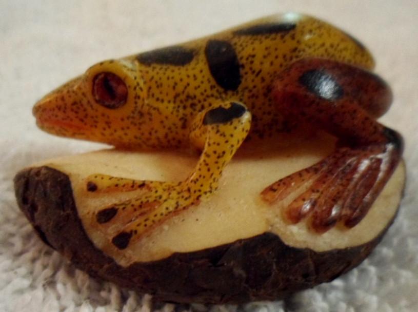 Wounaan Embera Frog Tagua Carving-Panama 16081819L