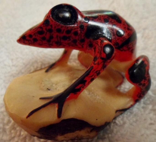Wounaan Embera Frog Tagua Carving-Panama 16081822L